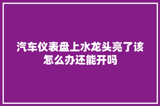 汽车仪表盘上水龙头亮了该怎么办还能开吗