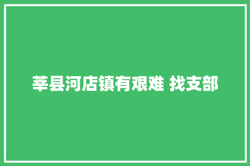 莘县河店镇有艰难 找支部