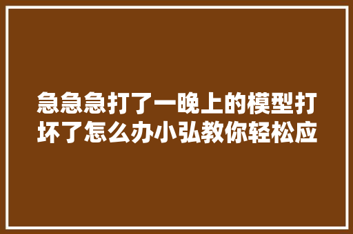 急急急打了一晚上的模型打坏了怎么办小弘教你轻松应对