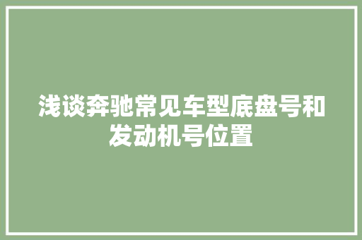 浅谈奔驰常见车型底盘号和发动机号位置
