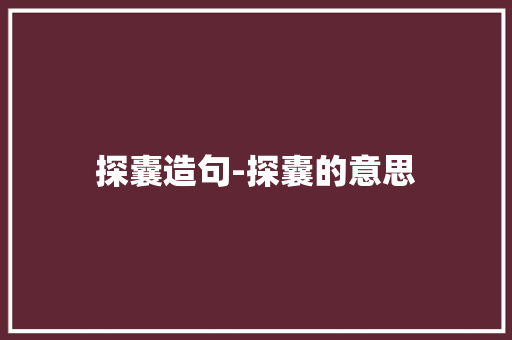 探囊造句-探囊的意思