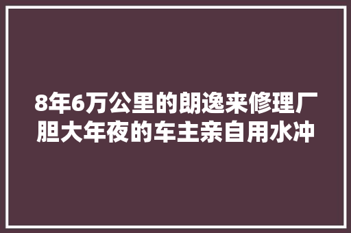 8年6万公里的朗逸来修理厂胆大年夜的车主亲自用水冲洗了发动机