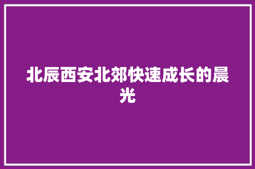 北辰西安北郊快速成长的晨光