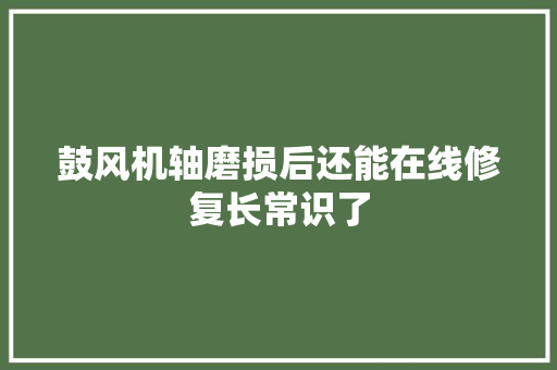 鼓风机轴磨损后还能在线修复长常识了