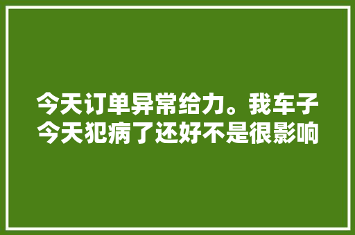今天订单异常给力。我车子今天犯病了还好不是很影响收入。