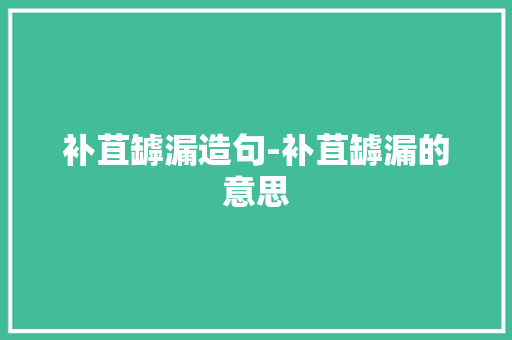补苴罅漏造句-补苴罅漏的意思