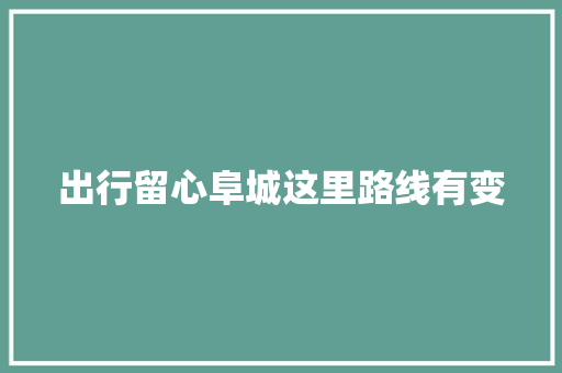 出行留心阜城这里路线有变