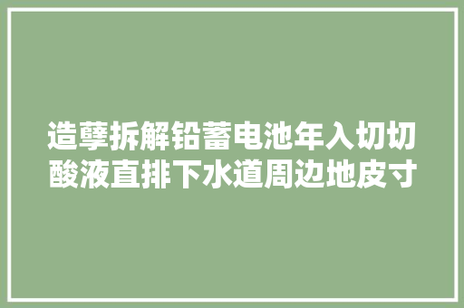 造孽拆解铅蓄电池年入切切酸液直排下水道周边地皮寸草不生