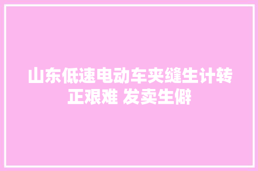 山东低速电动车夹缝生计转正艰难 发卖生僻 汽车知识