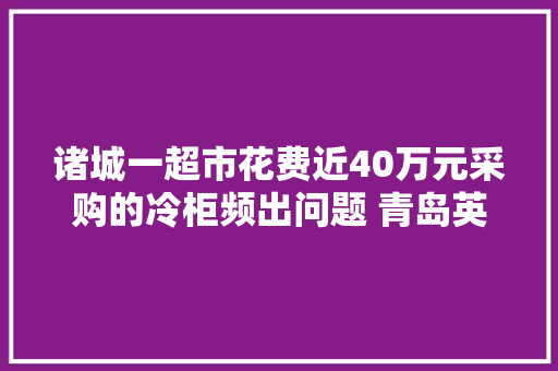 诸城一超市花费近40万元采购的冷柜频出问题 青岛英立商用举动办法有限公司查不到合同 汽车知识