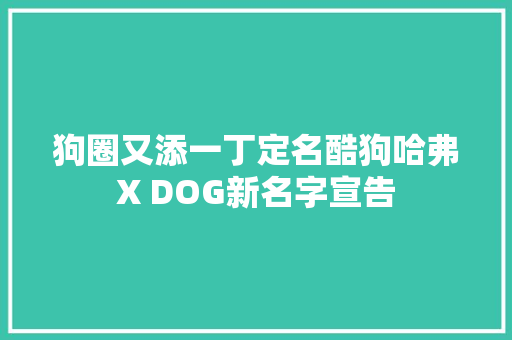 狗圈又添一丁定名酷狗哈弗X DOG新名字宣告