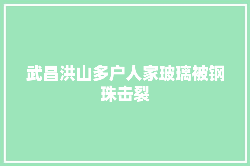 武昌洪山多户人家玻璃被钢珠击裂