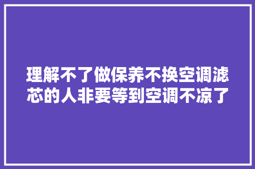 理解不了做保养不换空调滤芯的人非要等到空调不凉了在修