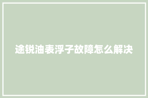 途锐油表浮子故障怎么解决