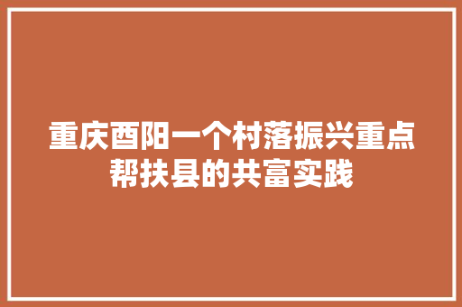 重庆酉阳一个村落振兴重点帮扶县的共富实践