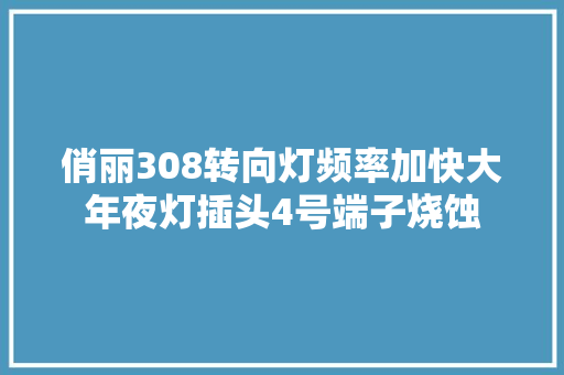 俏丽308转向灯频率加快大年夜灯插头4号端子烧蚀