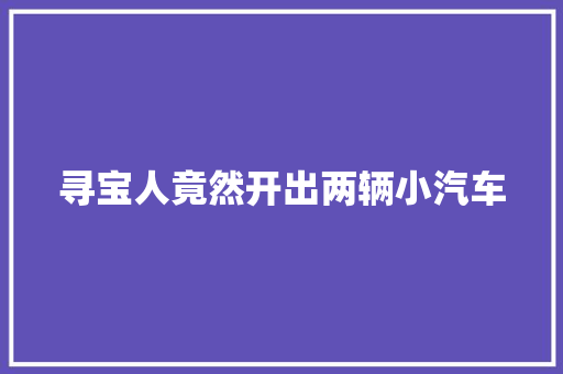 寻宝人竟然开出两辆小汽车