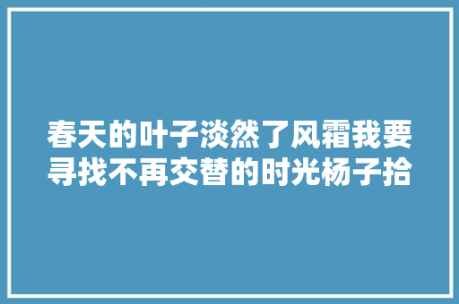 春天的叶子淡然了风霜我要寻找不再交替的时光杨子拾光