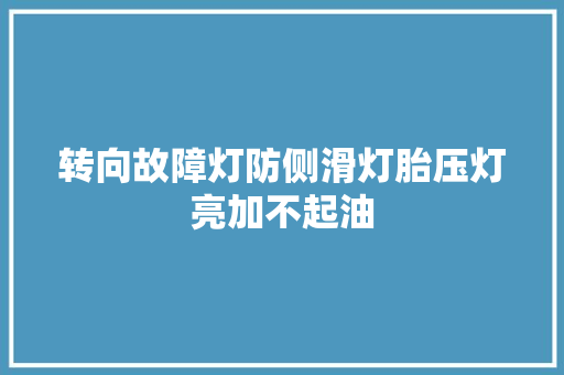 转向故障灯防侧滑灯胎压灯亮加不起油