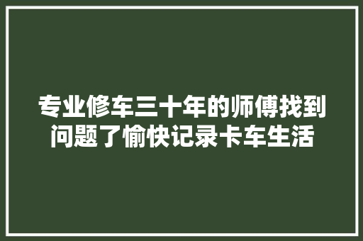 专业修车三十年的师傅找到问题了愉快记录卡车生活