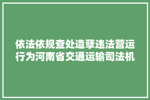 依法依规查处造孽违法营运行为河南省交通运输司法机构公布一批打非治违范例案例