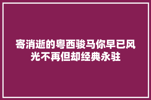 寄消逝的粤西骏马你早已风光不再但却经典永驻