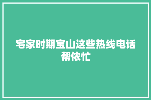 宅家时期宝山这些热线电话帮侬忙