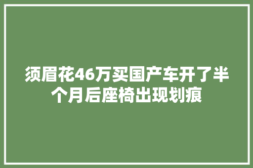 须眉花46万买国产车开了半个月后座椅出现划痕