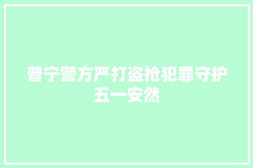 普宁警方严打盗抢犯罪守护五一安然