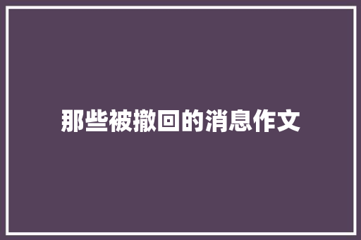 那些被撤回的消息作文