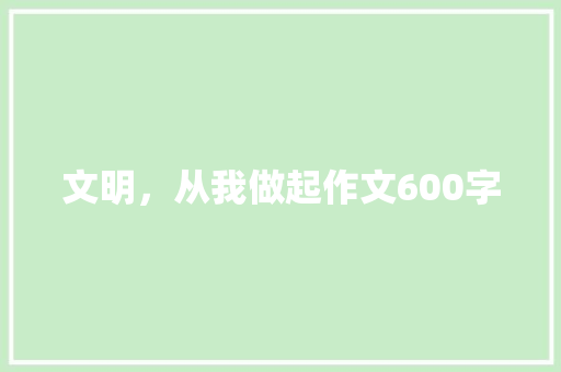 文明，从我做起作文600字