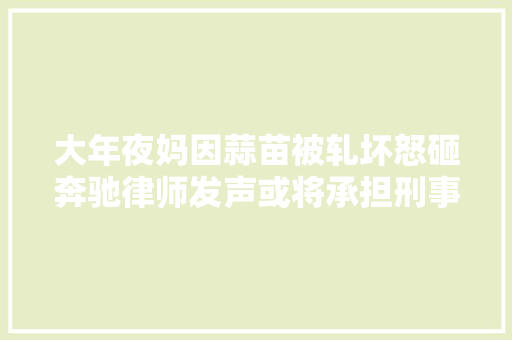 大年夜妈因蒜苗被轧坏怒砸奔驰律师发声或将承担刑事责任