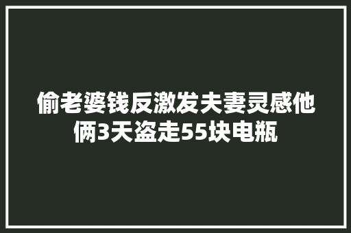 偷老婆钱反激发夫妻灵感他俩3天盗走55块电瓶