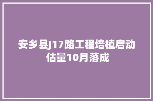 安乡县J17路工程培植启动 估量10月落成