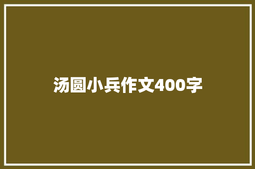 汤圆小兵作文400字
