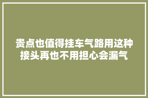 贵点也值得挂车气路用这种接头再也不用担心会漏气