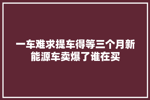 一车难求提车得等三个月新能源车卖爆了谁在买