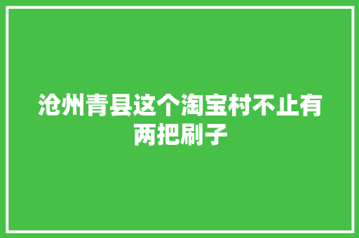 沧州青县这个淘宝村不止有两把刷子