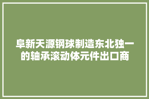 阜新天源钢球制造东北独一的轴承滚动体元件出口商