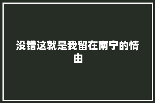 没错这就是我留在南宁的情由