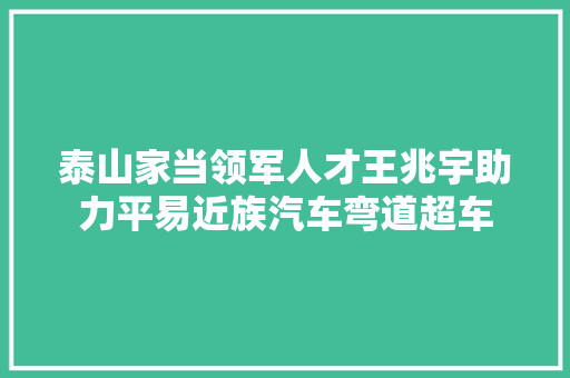 泰山家当领军人才王兆宇助力平易近族汽车弯道超车