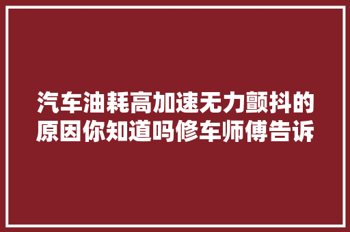 汽车油耗高加速无力颤抖的原因你知道吗修车师傅告诉你