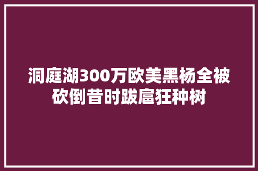 洞庭湖300万欧美黑杨全被砍倒昔时跋扈狂种树