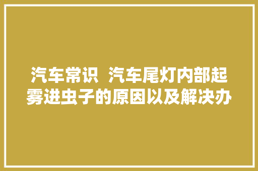 汽车常识  汽车尾灯内部起雾进虫子的原因以及解决办法