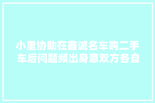 小里协助在鑫诚名车购二手车后问题频出身意双方各自为政