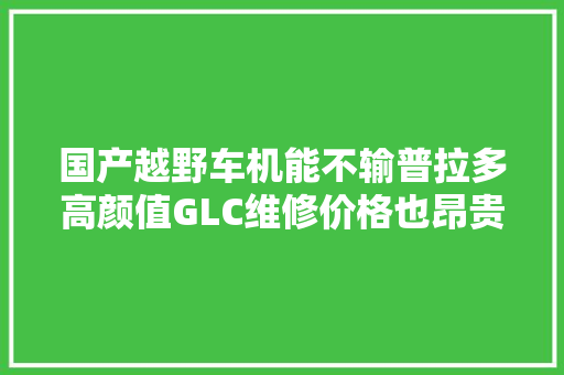 国产越野车机能不输普拉多高颜值GLC维修价格也昂贵