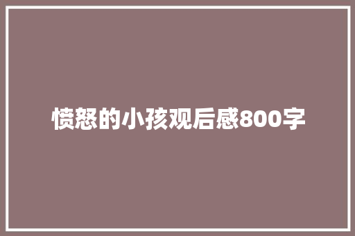 愤怒的小孩观后感800字