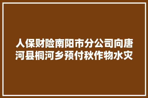 人保财险南阳市分公司向唐河县桐河乡预付秋作物水灾赔款380万元