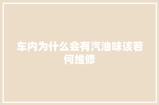 车内为什么会有汽油味该若何维修