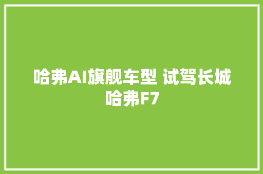 哈弗AI旗舰车型 试驾长城哈弗F7